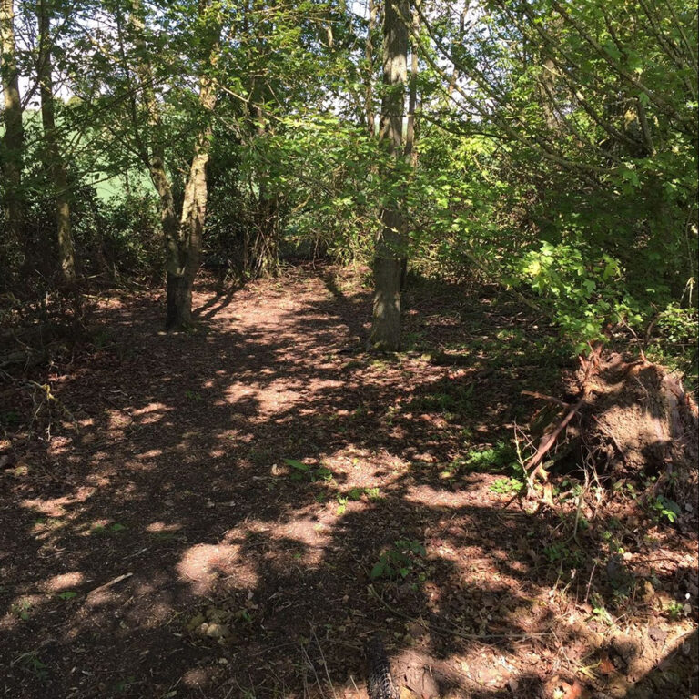 1486 c4bab5091f716c5538d466d8505fec47 1 768x768