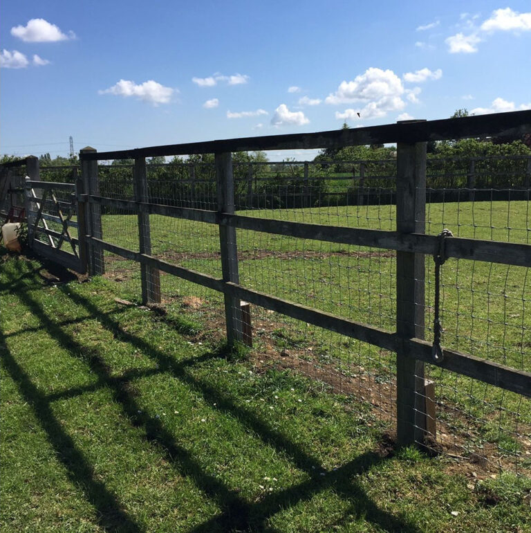 1486 c913583acd53b0d4fb2746262b5af4c7 1 768x770