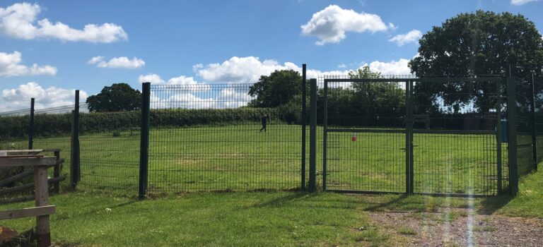 1488 61eaab9e130a2cc1258fa85d95b4ffce 1 scaled 768x350