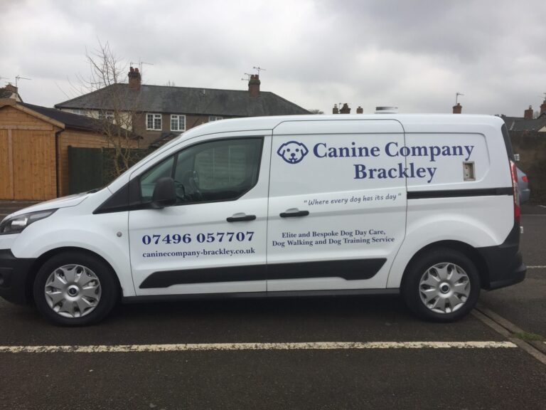 1489 440173e21ac1243799839bba6f0ca6cc 1 scaled 768x576