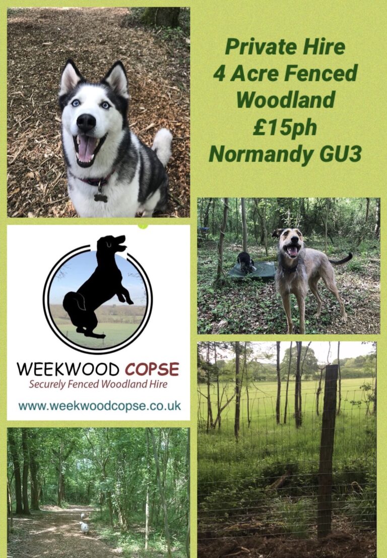 1490 250db33c06ef840237683e04ca2924f9 1 768x1105