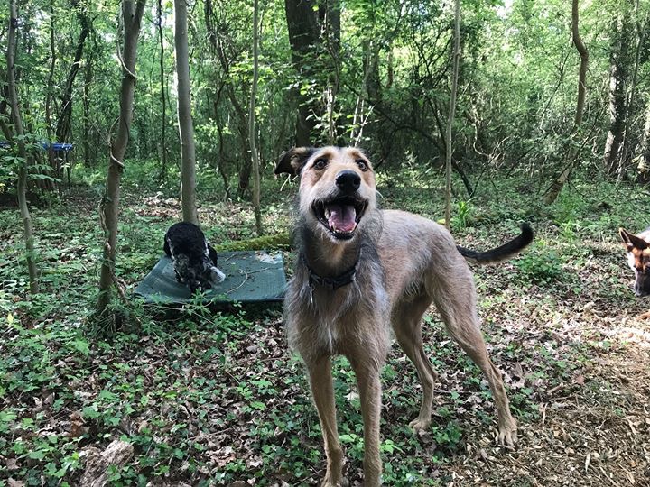 1490 285d34783019a1c9fe63f059fd9f2325 1