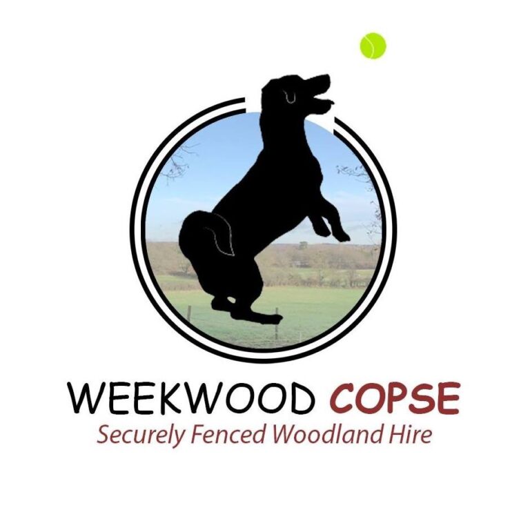 1490 45a10906ae007e4593f5a4d34b605a67 1 768x768