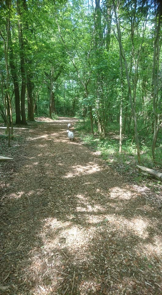 1490 7105375e1b561a5c592e503d872156b7 1