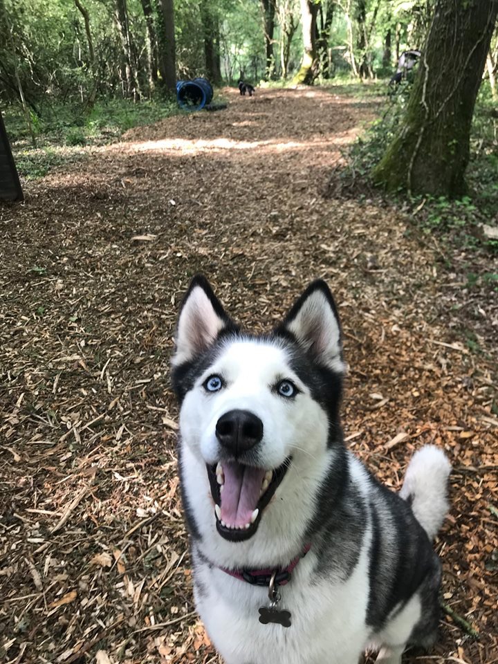 1490 ccc9c85768affb76a075bfc239ea2c4d 1