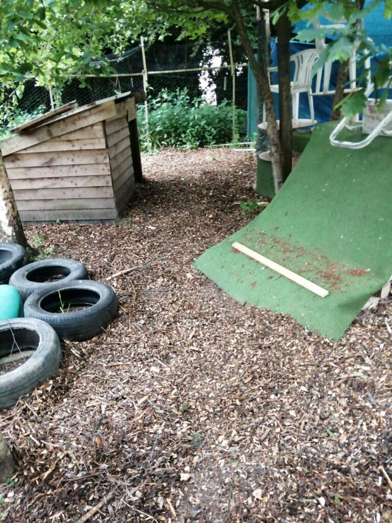 1495 d1dc340106f908a08950a319e0fb5d09 1 768x1024