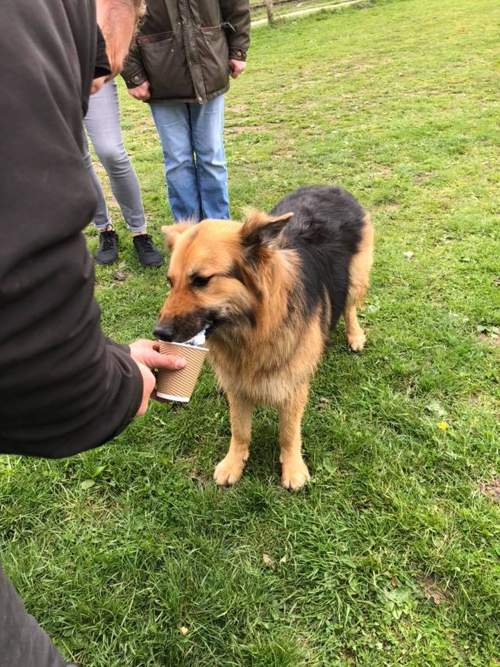 1501 0fd96dd271db2cde99f4760462c818d2 1