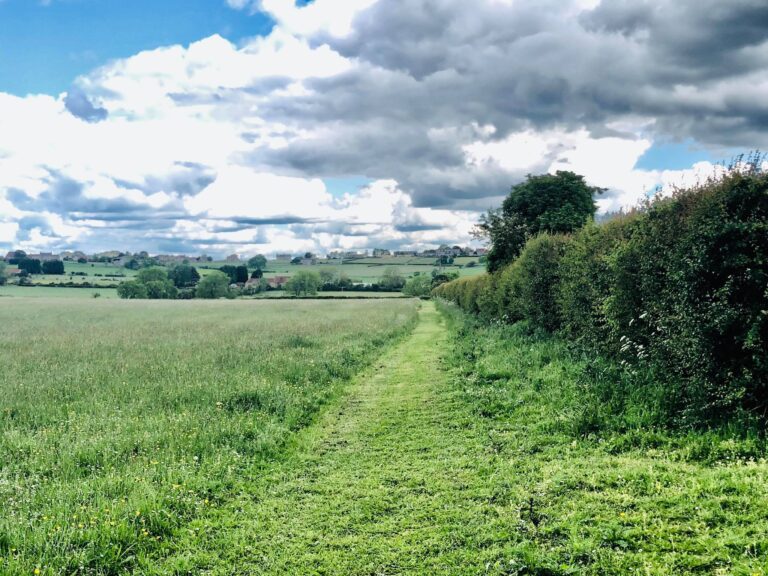 1501 183ee872146e8b0f859ab348a309edc1 1 768x576