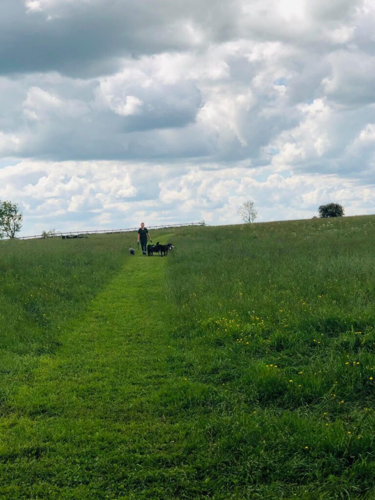 1501 197ff463ee93ed1b029e0897974787e3 1 768x1024