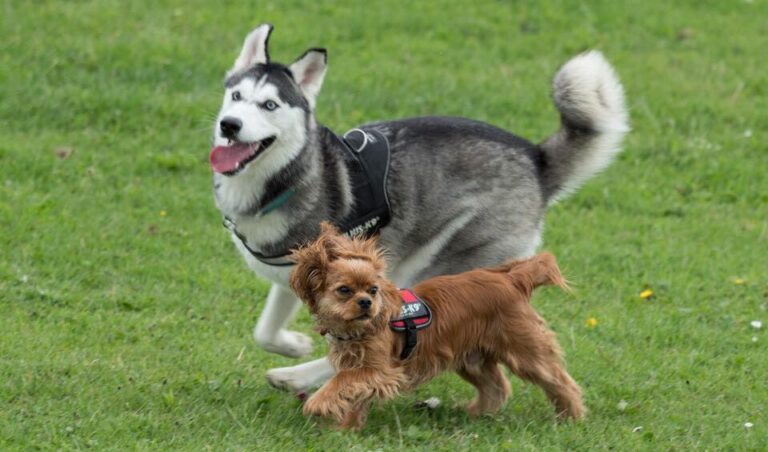 1501 418328e801efae326a9f79a317bceb3b 1 768x452