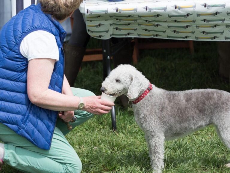 1501 882477cf5ff4e08d12a8b9482d672703 1 768x576