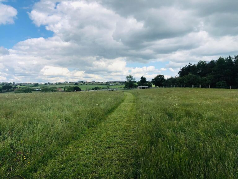 1501 8941937429e9e8b9c53ea5ad6868edcd 1 768x576