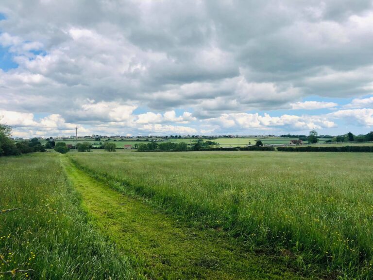 1501 9425f00b8ae441560af941b75cd5fe0f 1 768x576