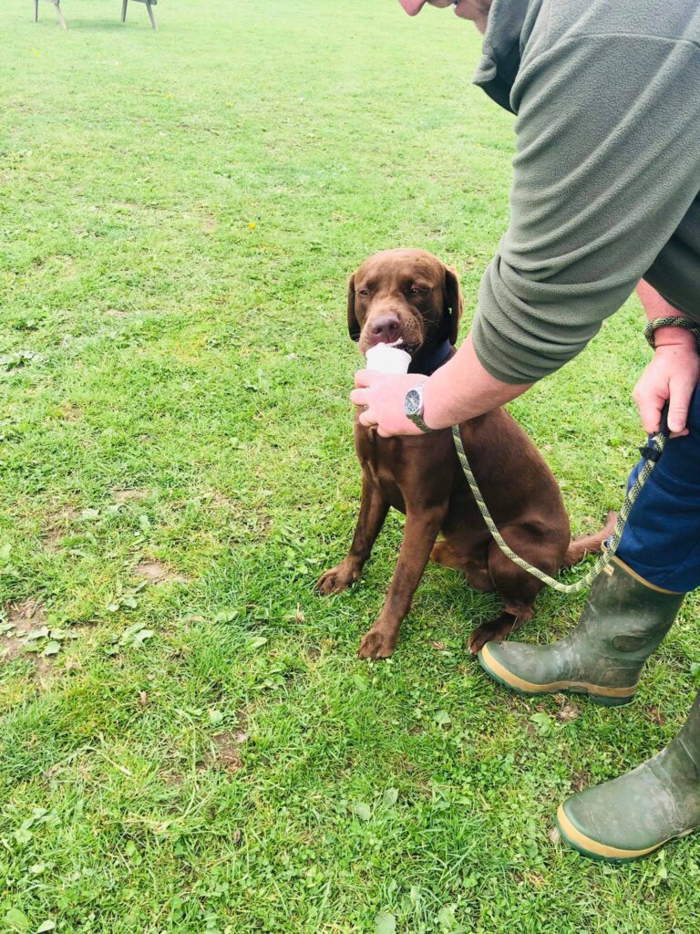 1501 980a431122b59603987474ffbbe3a1f2 1 768x1024