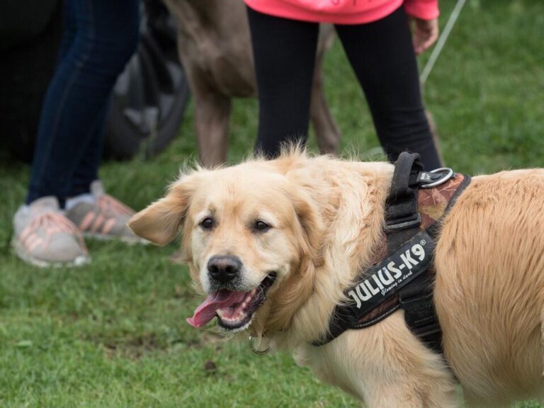 1501 a495e0ae7ece36070c923087675d4702 1 768x576