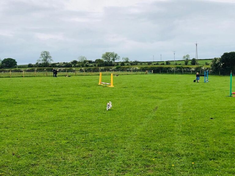 1501 c8d39db3ffd9553f7cf2b04b30c47686 1 768x576