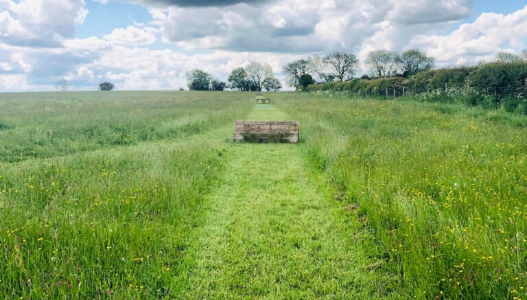 1501 d02972cf92308e78530a21cfbc3062ac 1 768x437