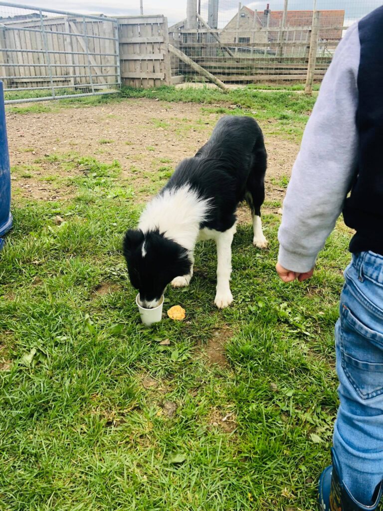 1501 f3b082559278195a067374279e5b70c6 1 768x1024