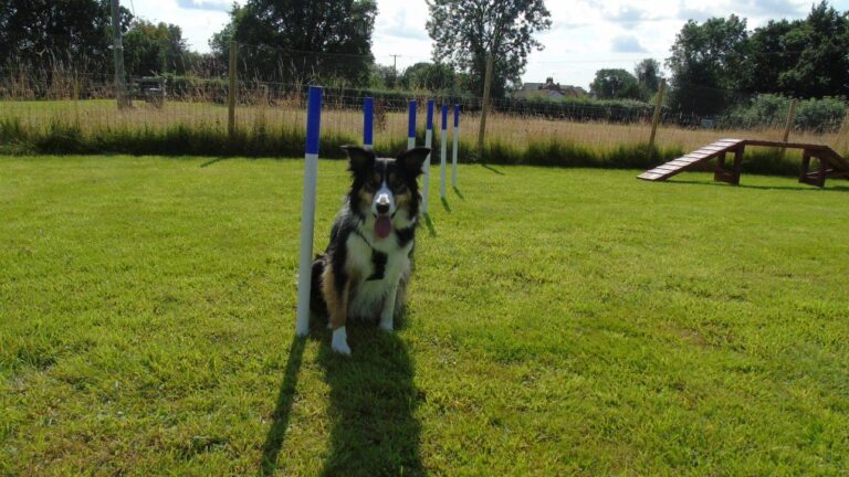 1502 170ca6c9b9983ddaae14dcf9bde4e5cf 1 768x432