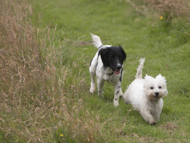 1502 30a0455119bb6c055308bb96e161b0fc 1 768x576