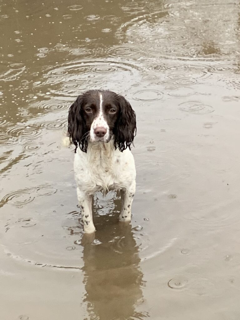 1502 37c4d91191152e19fae64f57399b1160 1 768x1024