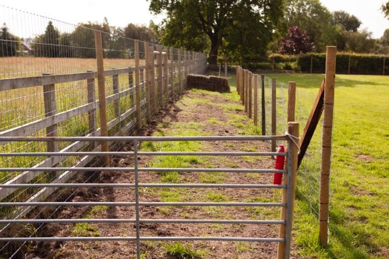 1502 4efb6f1dcf3edea78c828a36df0b978b 1 768x511