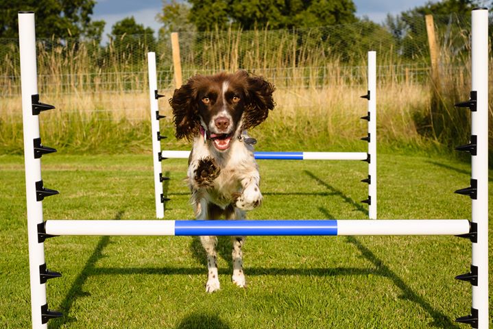 1502 53145455627ef608da51d02381cad249 1