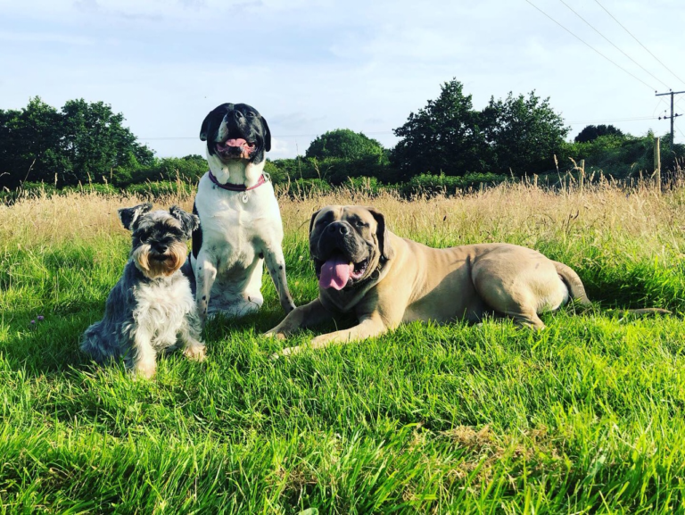 1502 5f232a4d4f3661ec4be5fcd5abb95347 1 768x577