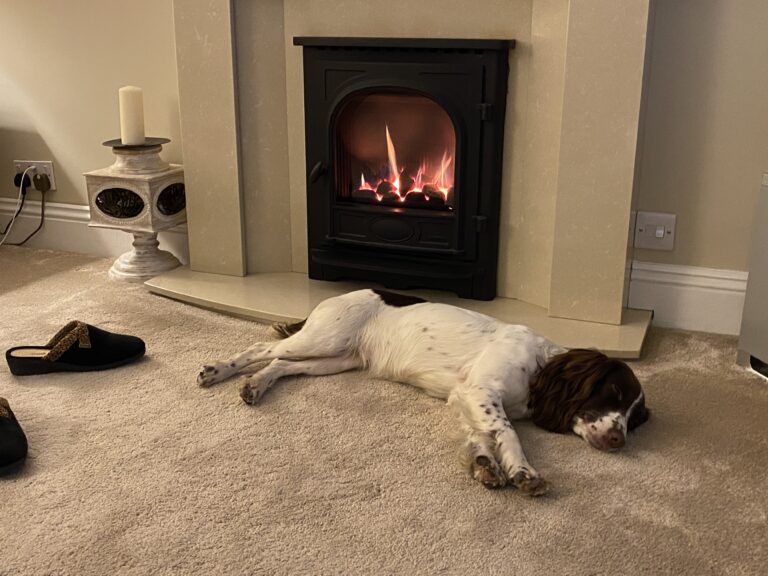 1502 86c5409bf0d5e903822c06ec2bbdb2fc 1 768x576