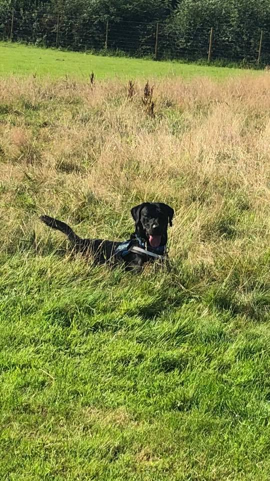 1502 8e3ac0fc8b3a2d6c83c68caf524f2031 1