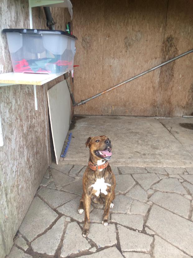 1502 99eb59cef60d00bbdbad6d54a99dc413 1