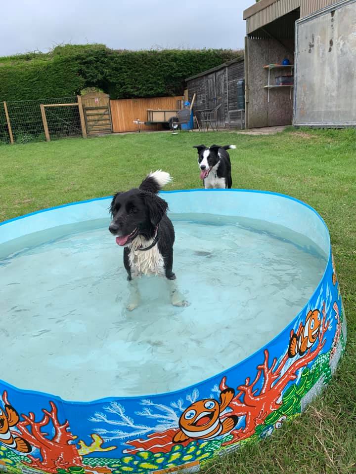 1502 a6e424c094a382c074d8aed02612394a 1