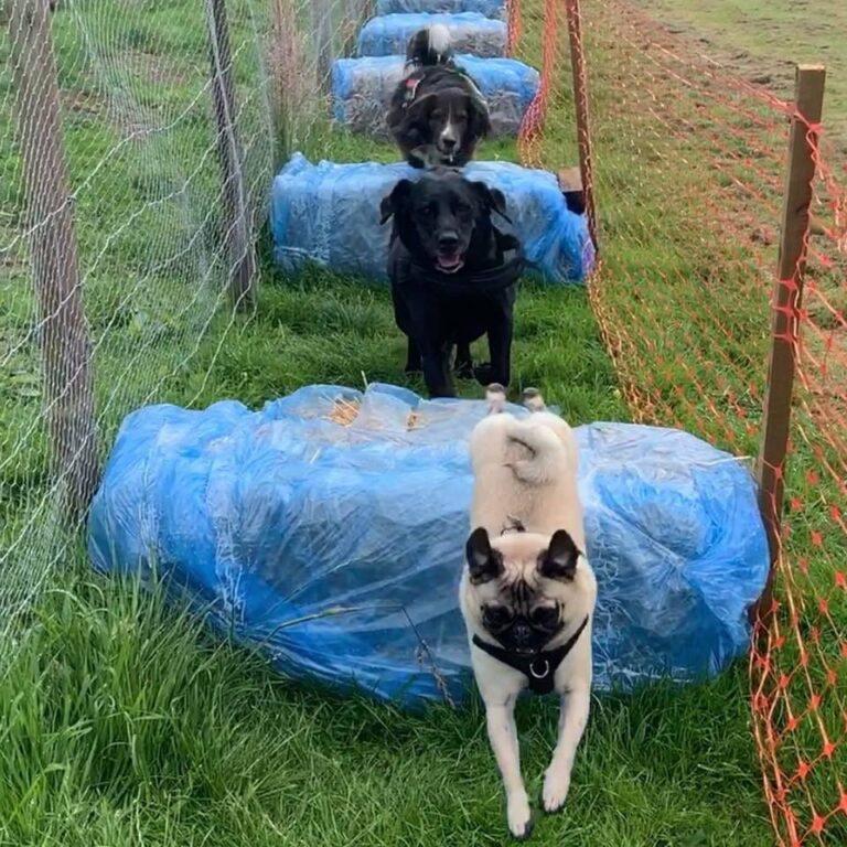 1502 ad2ba644229d33b379581e0763e81291 1 768x768