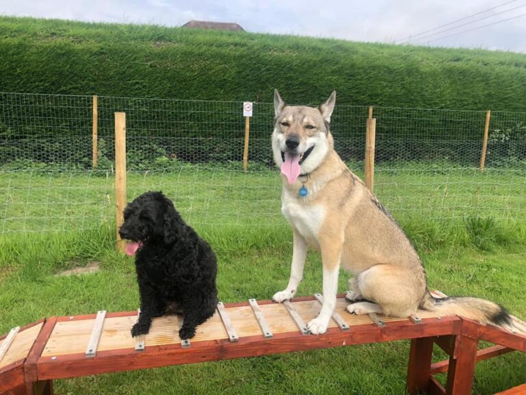 1502 ae1df4829ab294d2aff000d4baf94bb5 1 768x576