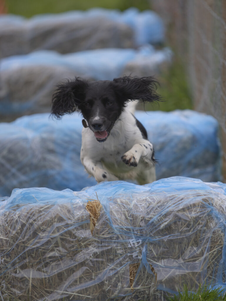 1502 c00cb091aee27d1e5b0b4ecf3285736e 1 768x1024