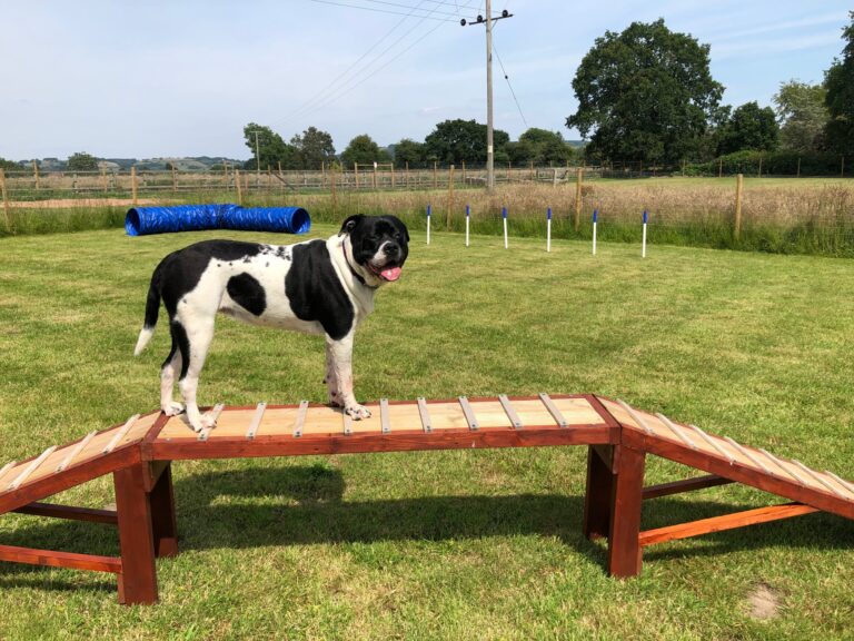 1502 c984af48e5ebe5114c35f7c2c231ad9a 1 768x576