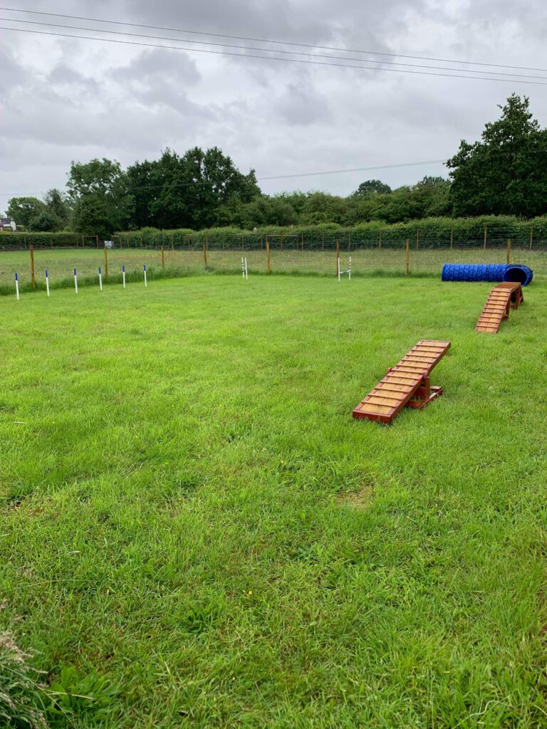 1502 cee25e3e59855fe779128ed533792b70 1 768x1024