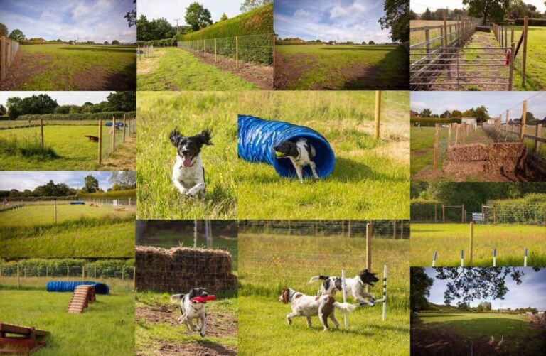 1502 d247e20bd83e809b156946c2282087ab 1 768x501