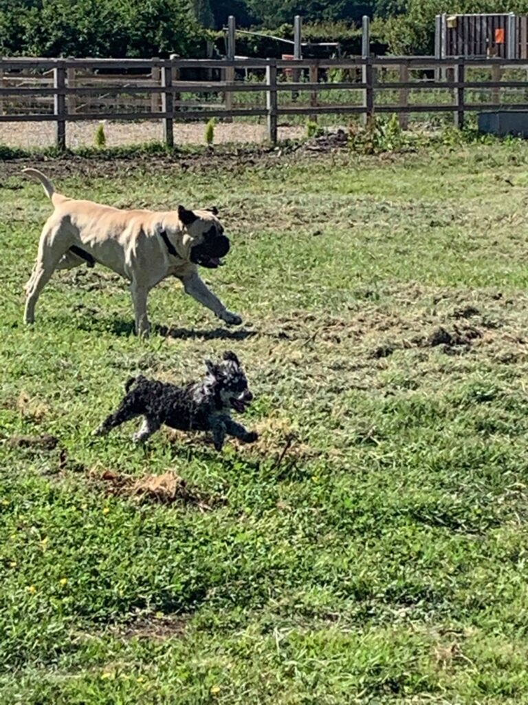 1506 44e87d7bec719493fe538ea6e9013272 1 768x1024