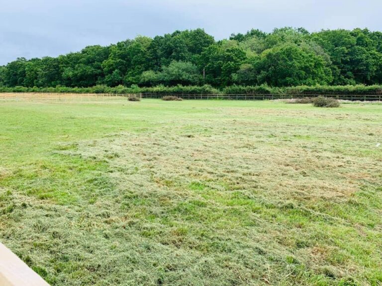 1506 7b127486ee5a12550aba75e9b5ef2488 1 768x576