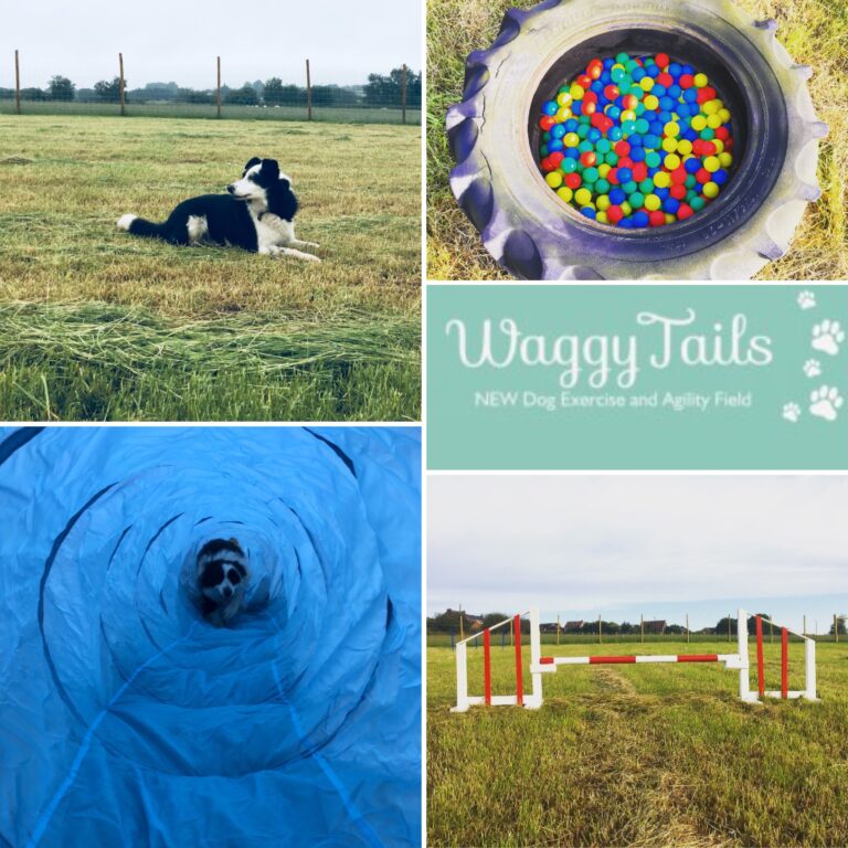 1507 074127984301b7f9b9091cd7f33e2733 1 768x768