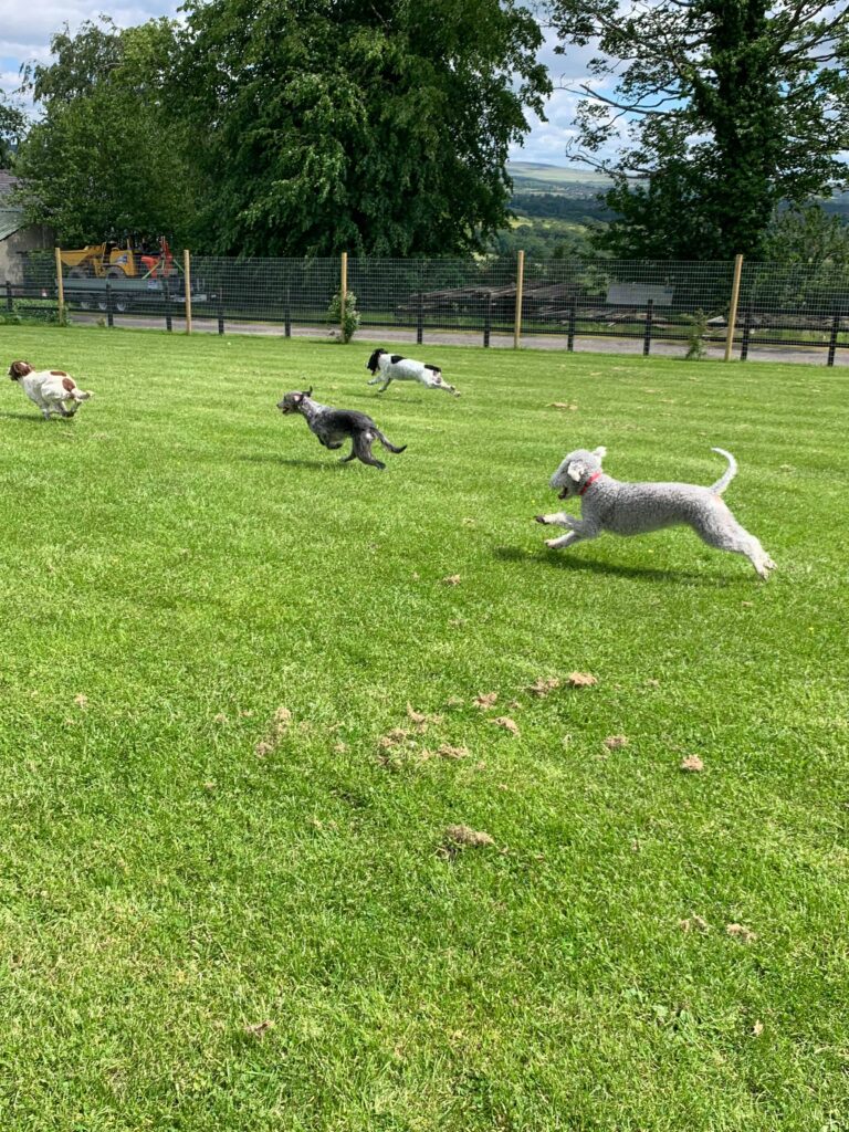 1509 0f6daa6bb651e86f79f2345b5453d0a3 1 768x1024