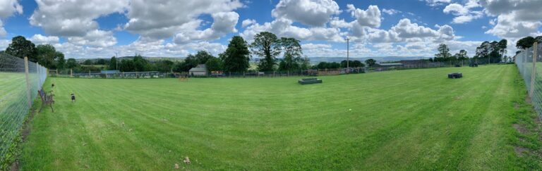 1509 e5bf236e194d1102f2958c5c0c4fa218 1 scaled 768x243