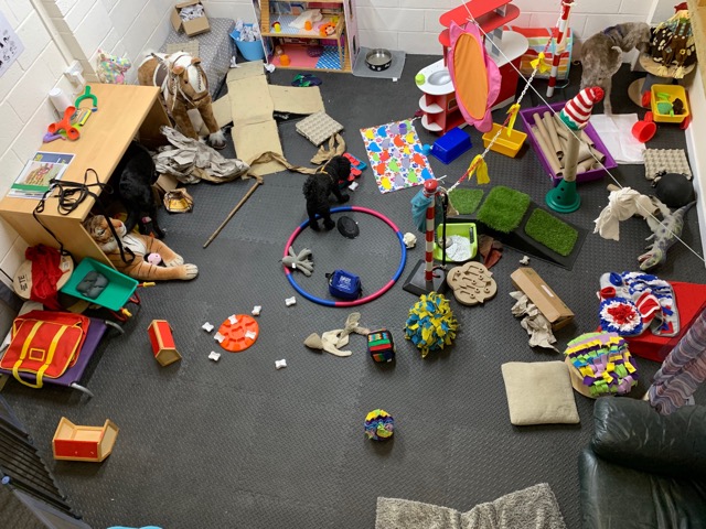 1513 0caf7553aa13287d8489a9eb52861341 1