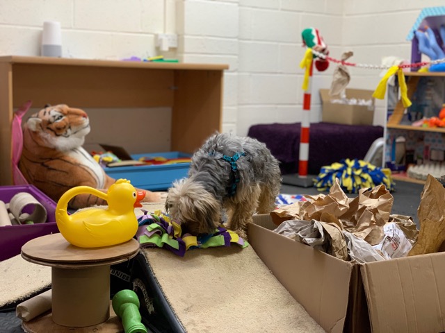 1513 0cc8ab0b290eabd7ebc51218a5dcaeba 1