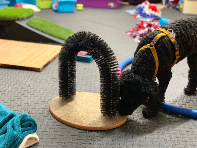 1513 70246e0598a5d883cb210a3acb6925de 1