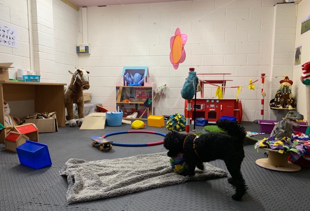 1513 8ade9666dc599d19ed9a7b9bd162104b 1