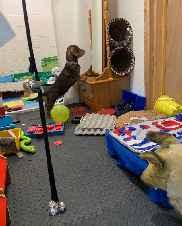 1513 bd0cad04d358a137b6eabe4839c38196 1