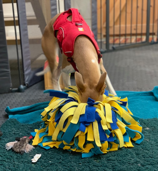 1513 c35ff08901a09e28e8e41027ce7560ae 1