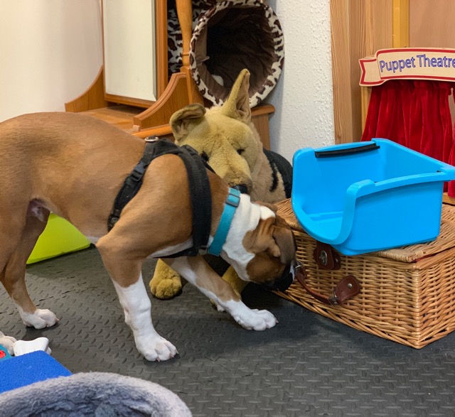 1513 d320ed567c8b176f084f9ce064178e9a 1